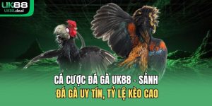 UK88 | Nhà Cái Cá Cược Thể Thao Xanh Chính Đến Từ Anh Quốc - betcomet69.asia