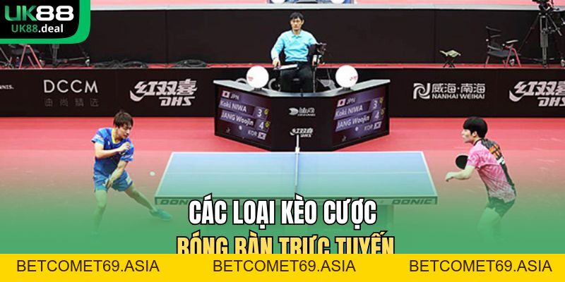 Cược Bóng Bàn UK88 – Kèo Nhanh, Tỷ Lệ Chuẩn, Uy Tín - betcomet69.asia