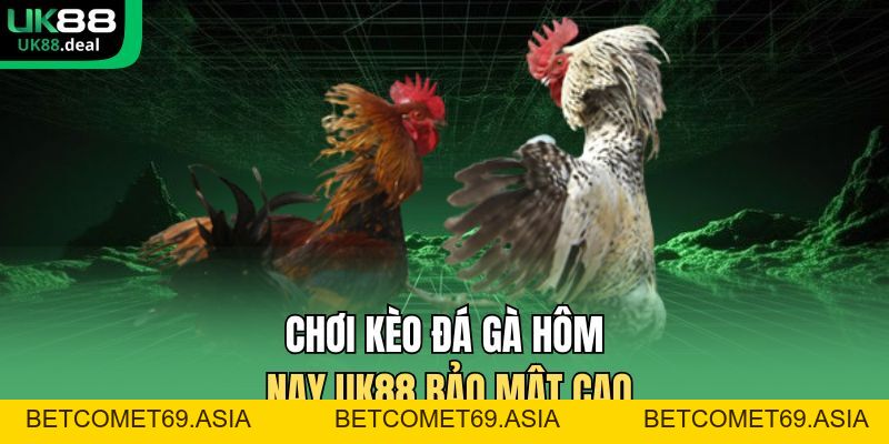 Kèo Đá Gà Hôm Nay UK88 Xem Trực Tiếp Sắc Nét 2026 - betcomet69.asia Kèo Đá Gà Hôm Nay UK88 Xem Trực Tiếp Sắc Nét 2026 - betcomet69.asia
