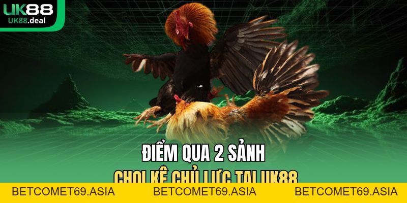 Đá Gà UK88 | Đấu Trường Trực Tuyến Uy Tín Số 1 Châu Á - betcomet69.asia