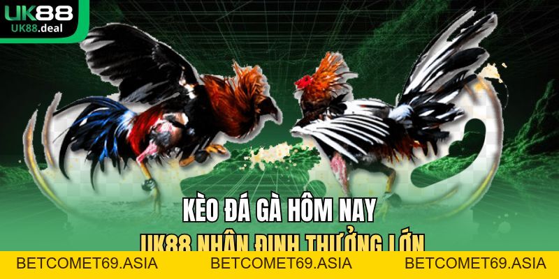 Kèo Đá Gà Hôm Nay UK88 Xem Trực Tiếp Sắc Nét 2026 - betcomet69.asia Kèo Đá Gà Hôm Nay UK88 Xem Trực Tiếp Sắc Nét 2026 - betcomet69.asia