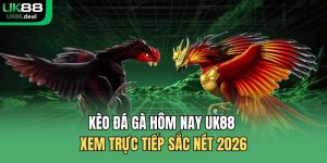 UK88 | Nhà Cái Cá Cược Thể Thao Xanh Chính Đến Từ Anh Quốc - betcomet69.asia