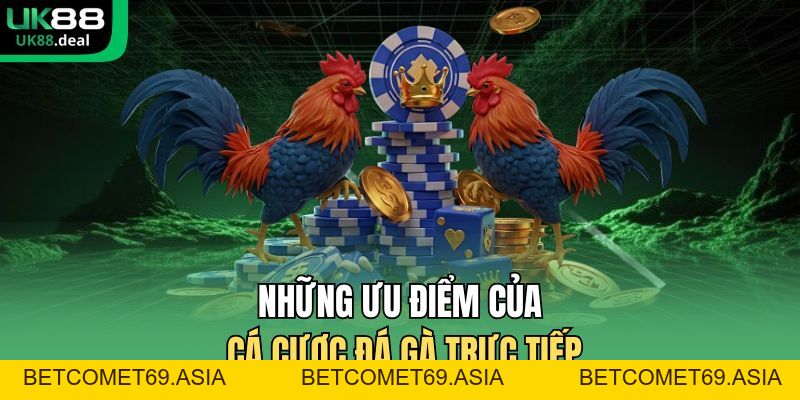 Cá Cược Đá Gà UK88 – Sảnh Đá Gà Uy Tín, Tỷ Lệ Kèo Cao - betcomet69.asia
