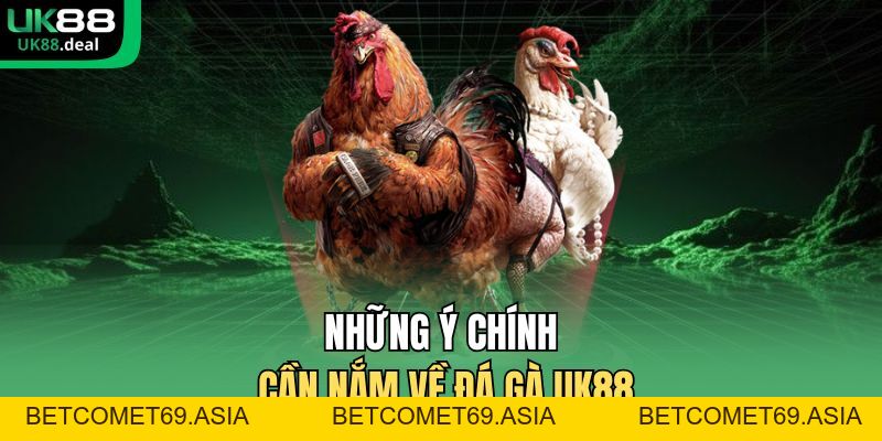 Đá Gà UK88 | Đấu Trường Trực Tuyến Uy Tín Số 1 Châu Á - betcomet69.asia