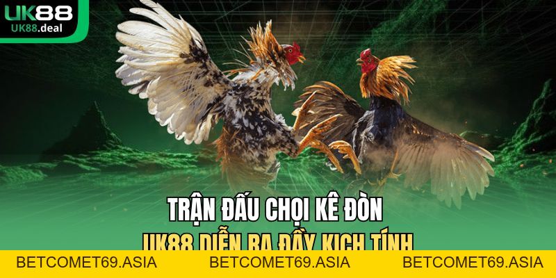 Kèo Đá Gà Hôm Nay UK88 Xem Trực Tiếp Sắc Nét 2026 - betcomet69.asia Kèo Đá Gà Hôm Nay UK88 Xem Trực Tiếp Sắc Nét 2026 - betcomet69.asia